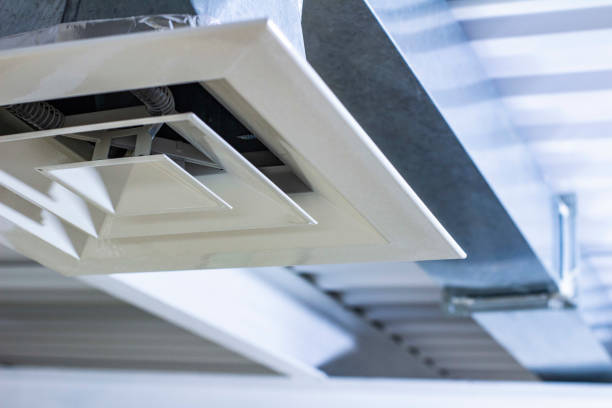 Best Affordable Air Duct Cleaning  in Silver Springs, FL