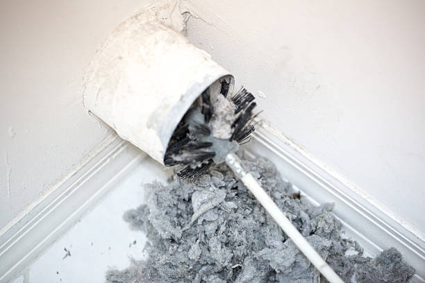 Best Affordable Duct Cleaning Services  in Silver Springs, FL